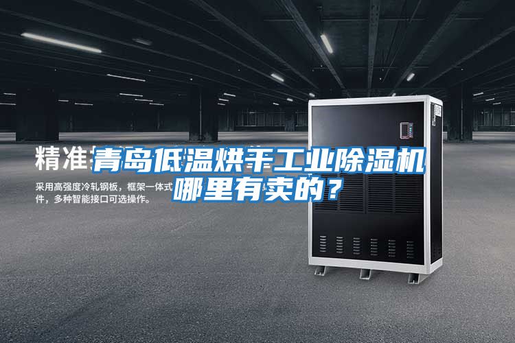 青島低溫烘干工業除濕機哪里有賣的？